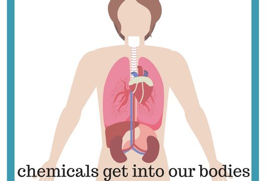 3 Ways Our Bodies Fill with Chemicals